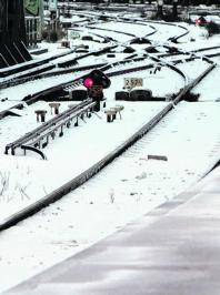 Snowy tracks